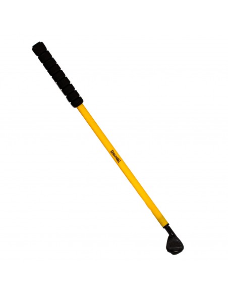 Palo golf spalding golf club & ball set