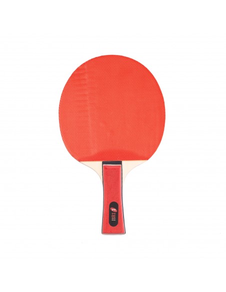 Pala ping-pong eqsi