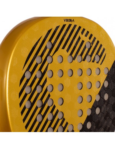 Pala de pádel vibor-a yarara radical gold