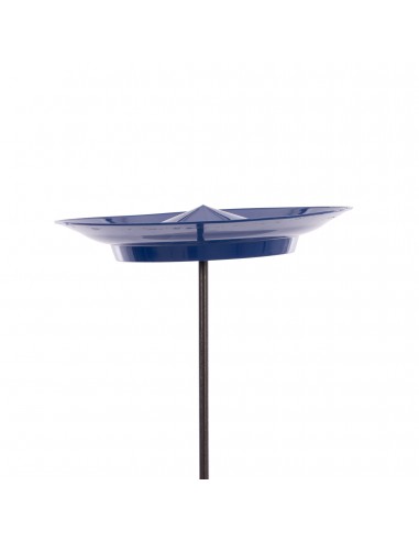 Set plato chino