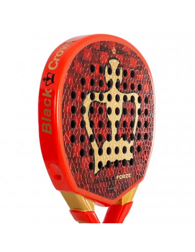 Pala de pádel black crown gladius force
