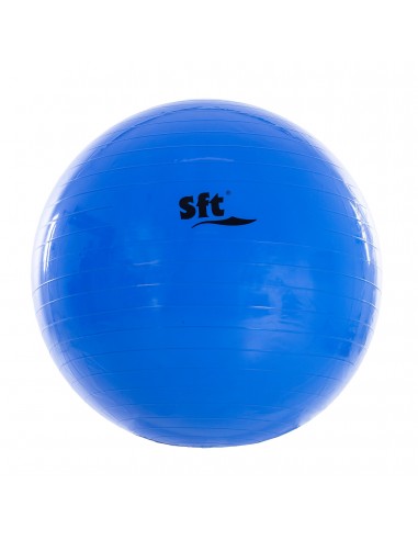 Pelota gigante softee
