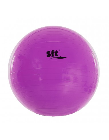 Pelota gigante softee