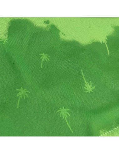 Bañador softee palm