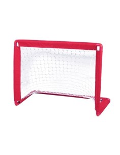Porteria de Hockey
