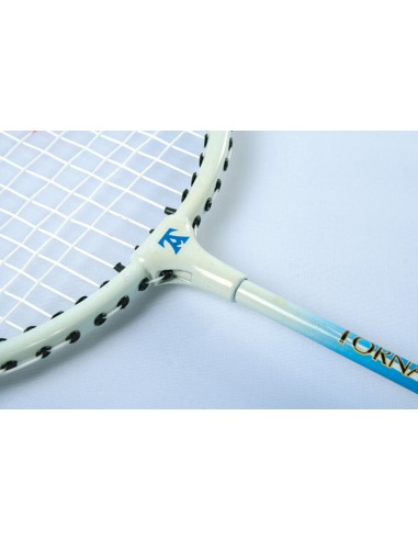 Raqueta de badminton HQ-5