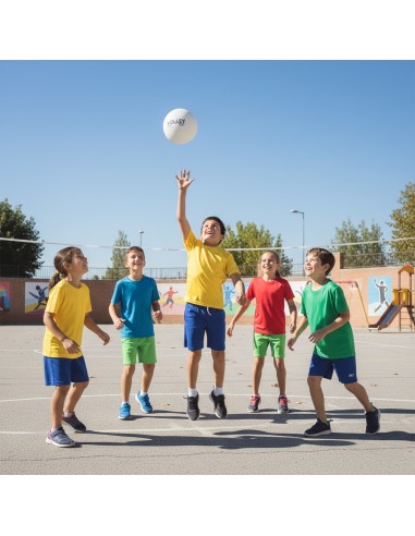 Volley PVC Ø 210 mm – Balón de Voleibol