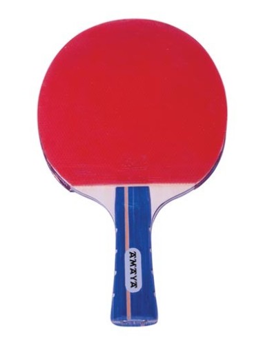 Raqueta Tenis de Mesa L5802 5★ Mango PRO