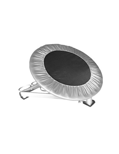 Medicine ball rebounder