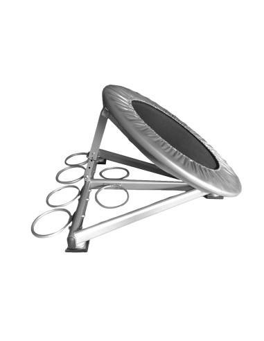Medicine ball rebounder