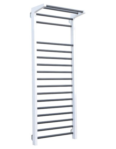 Espaldera functional metálica simple