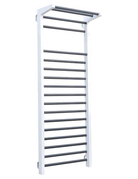 Espaldera functional metálica simple