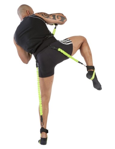 Punch Trainer