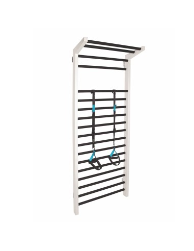 Amaya Suspension Trainer