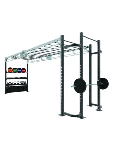 FUNCTIONAL CAGE L