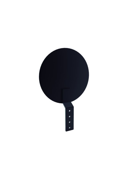 Wall Ball Target para Columna Entrenamiento Funcional