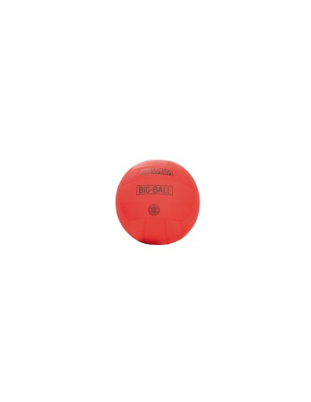 Pelota "BIG BALL" en 3 Colores y 5 Diámetros