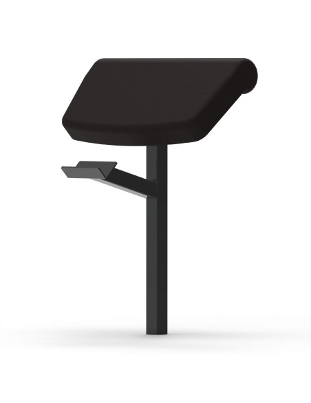 Banco funcional ajustable + Arm Curl