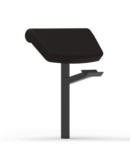 Banco funcional ajustable + Arm Curl