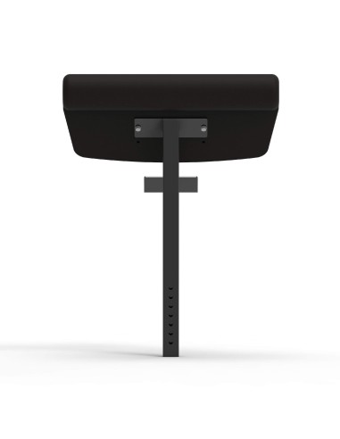 Banco funcional ajustable + Arm Curl