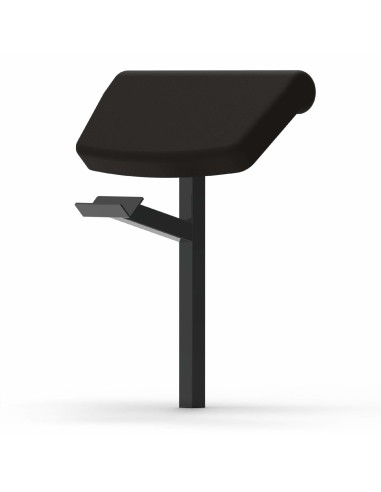 Banco funcional ajustable + Arm curl + Leg extension