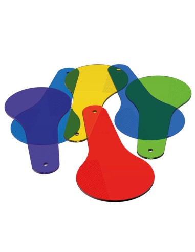 Paletas de Colores Translúcidas – Pack de 6