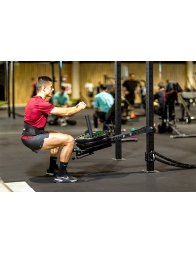 BELT SQUAT STATION