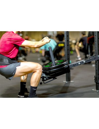 BELT SQUAT STATION