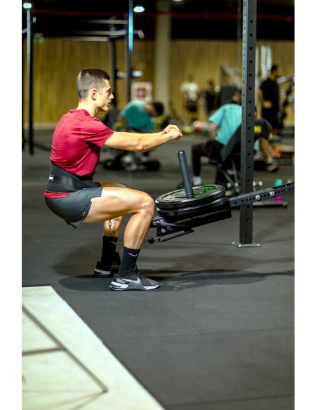 BELT SQUAT STATION