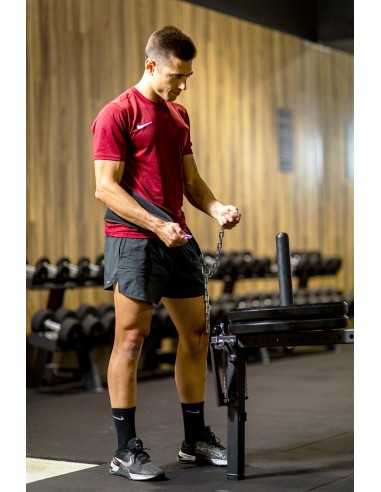BELT SQUAT STATION