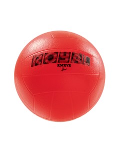Set 12 Balones Fútbol TPE Royal Ø220 mm