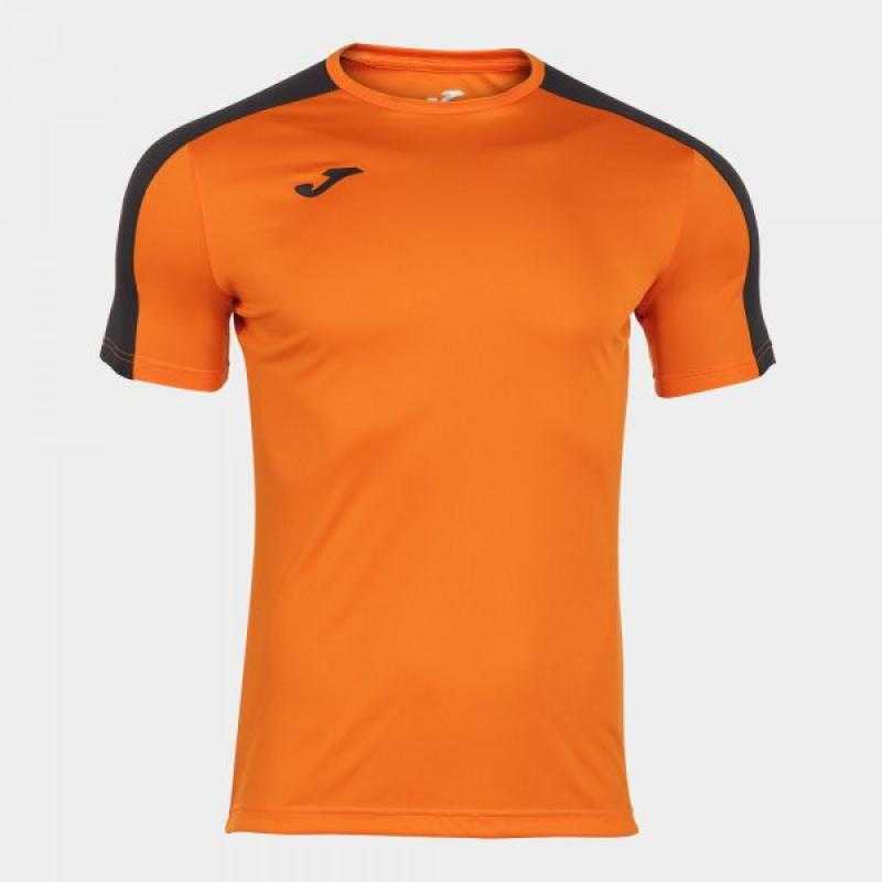 Camiseta academy iii joma