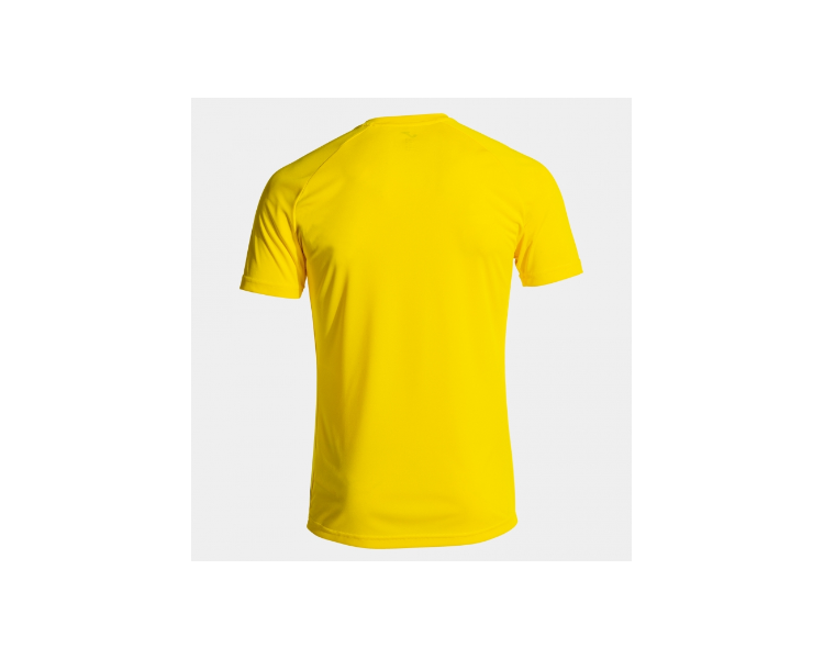 Camiseta inter iv joma