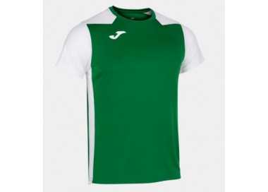 Camiseta record ii joma