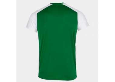 Camiseta record ii joma