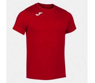 Camiseta record ii joma