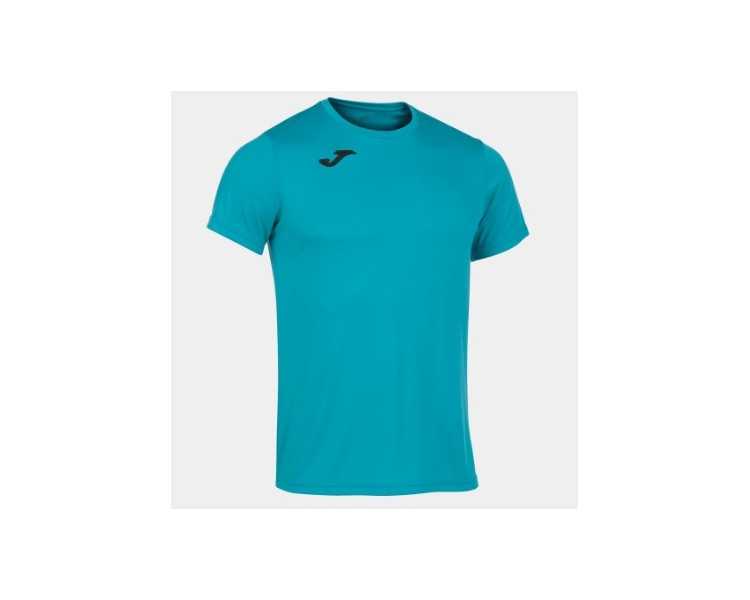 Camiseta record ii joma