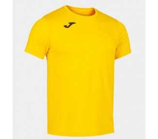 Camiseta record ii joma