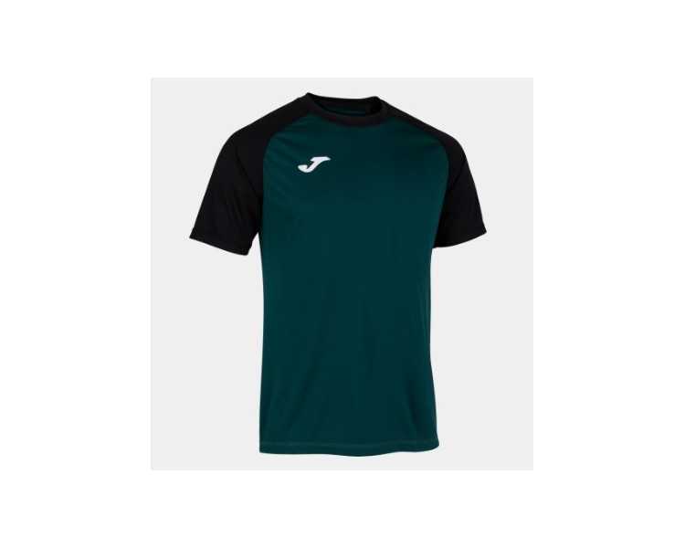 Camiseta team work joma