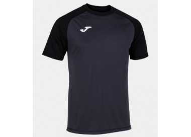 Camiseta team work joma