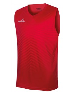 CAMISETA BASKET DENVER
