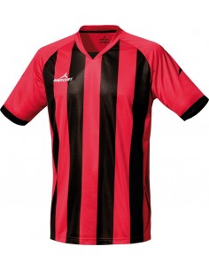 CAMISETA M/CORTA CHAMPIONS