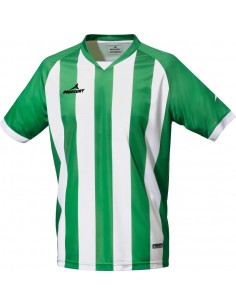 CAMISETA M/CORTA CHAMPIONS