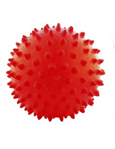 Pelota masaje