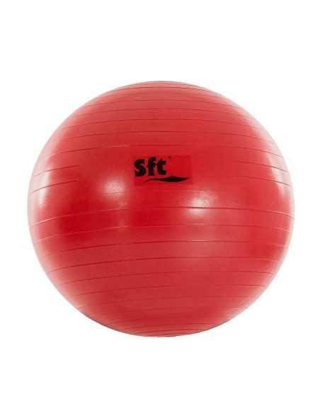 Pelota gigante softee flexi