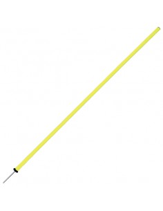 Pica slalom 173cm 2.0